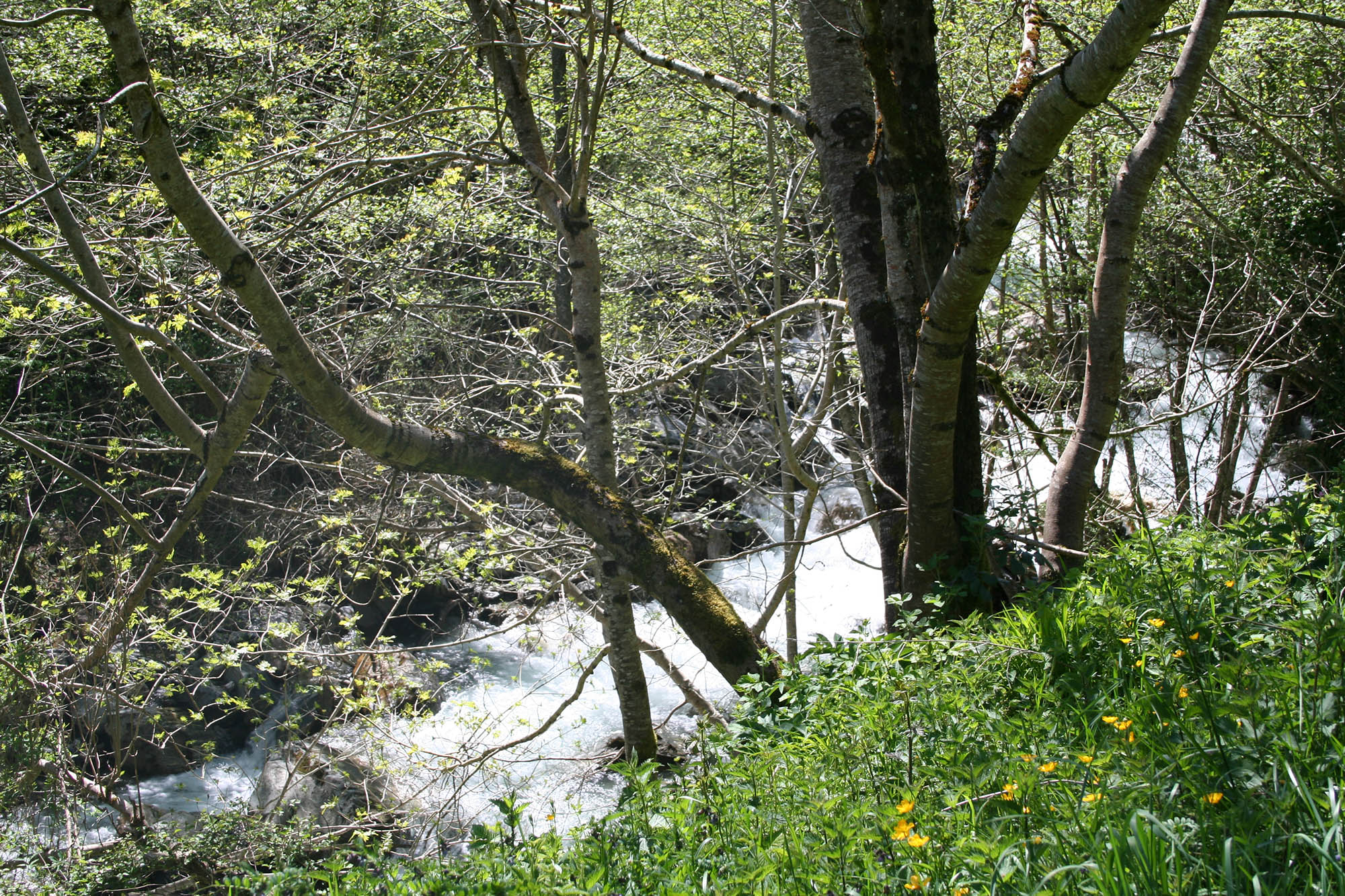 Cascade de Seris
