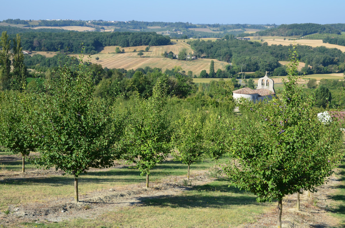 Bastide de Castelnaud-de-Gratecambe