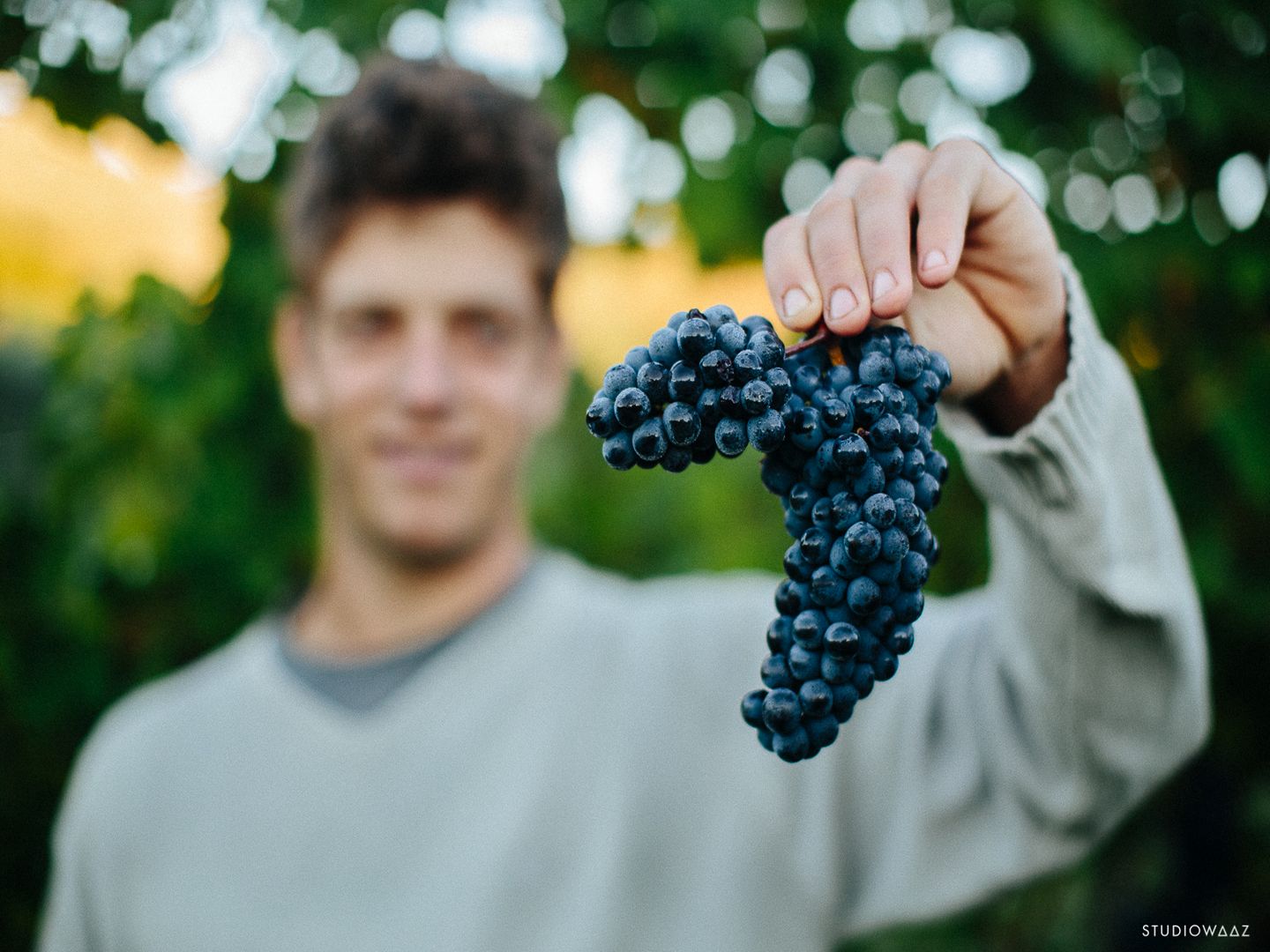 Fête de l'Irouléguy : Repas des Vignerons de l’AOP Irouleguy