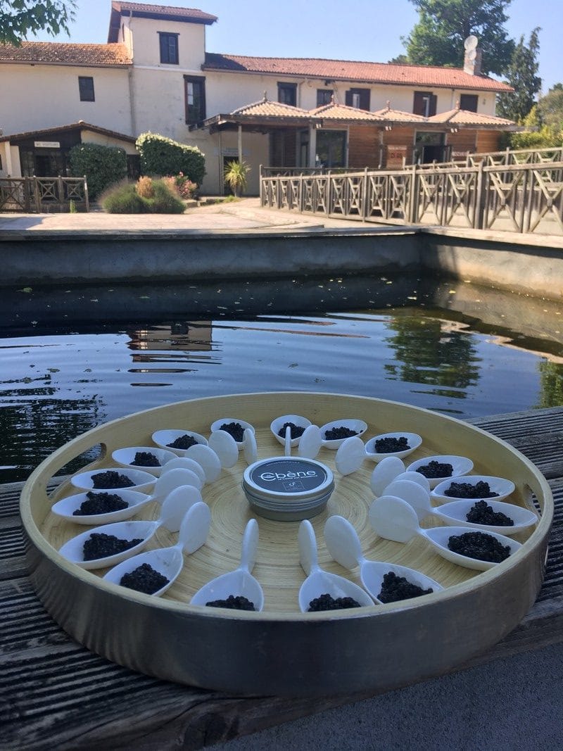 Caviar de France