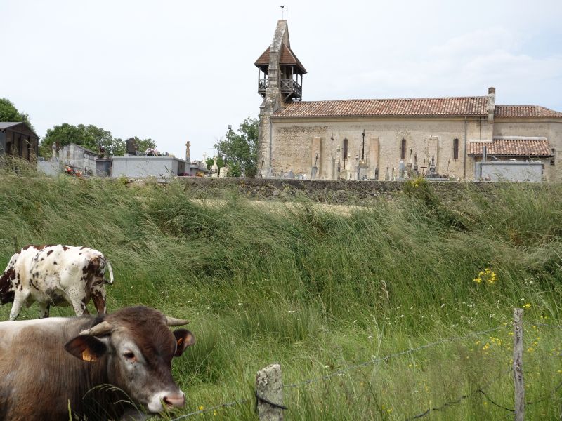 Eglise Saint-Martin de Cazats