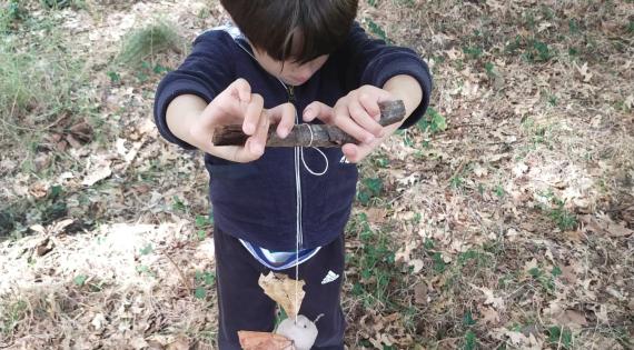 Domaine de Certes et Graveyron : Certes pour tout petits - Des animaux plein la tête