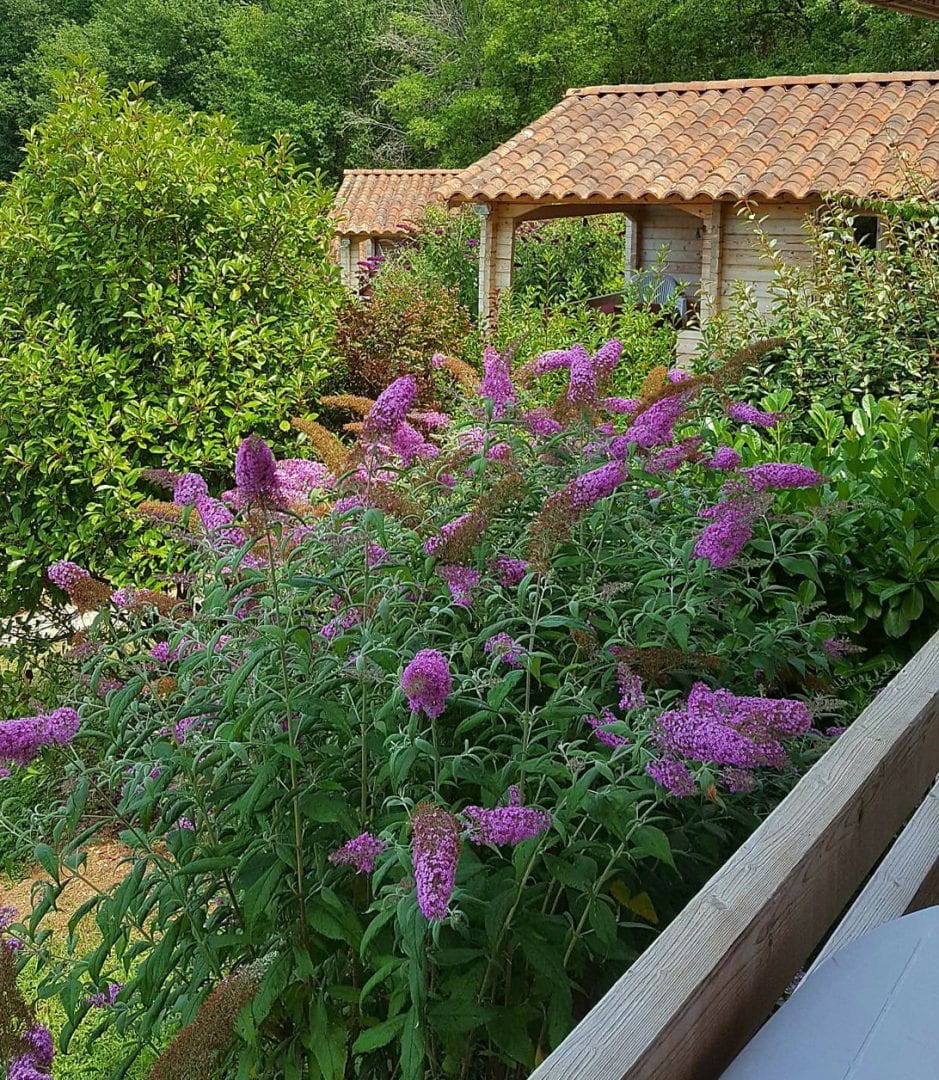 Chalets de l'Ecrin de Nature