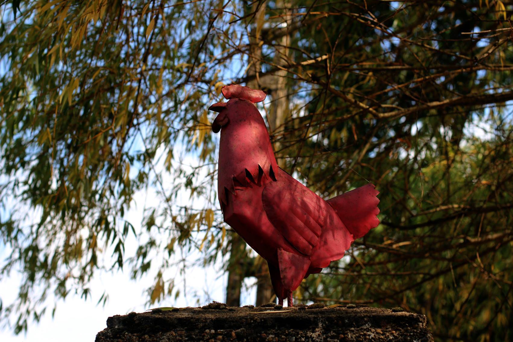 La P'tite Poule Rouge