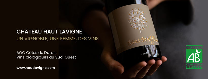 Château Haut Lavigne chambre au coeur des vignes