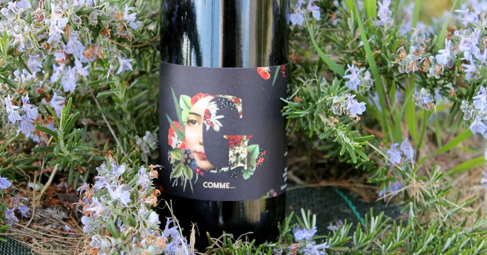 Château Haut Lavigne chambre au coeur des vignes