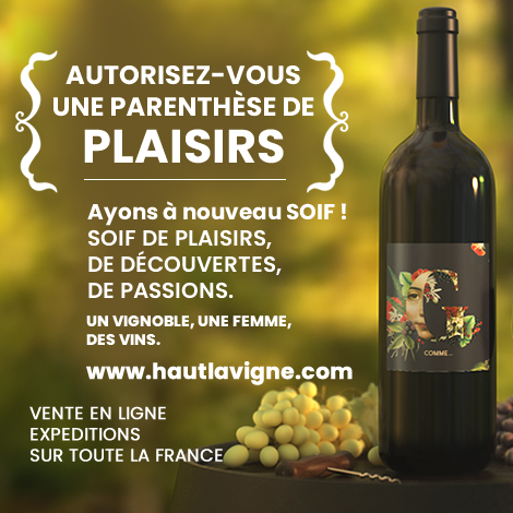 Château Haut Lavigne chambre au coeur des vignes