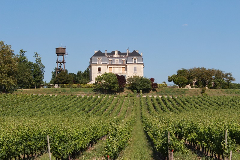 Ch&acirc;teau_Segonzac_st_gen&eacute;s 800x600&copy;Blaye_Tourisme_-_1709