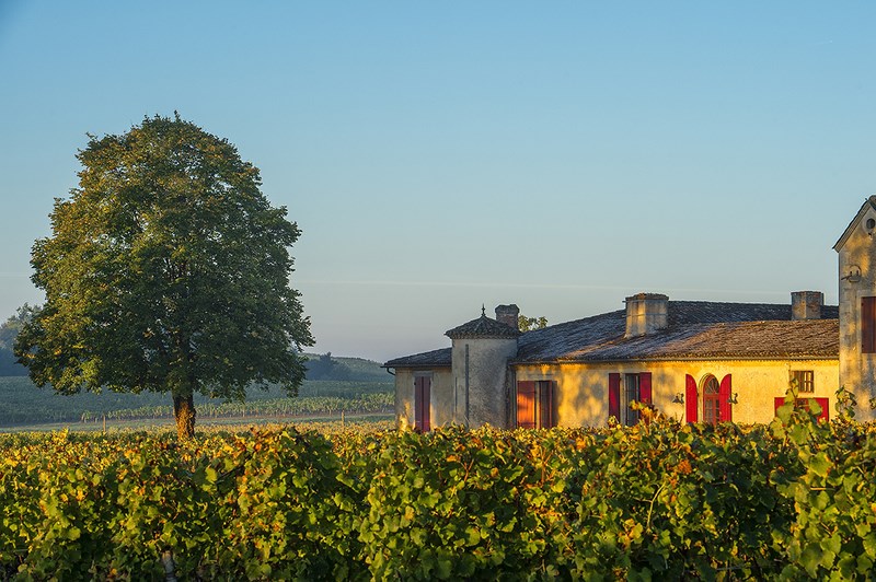 Affiche ou photo : Château Sigalas Rabaud