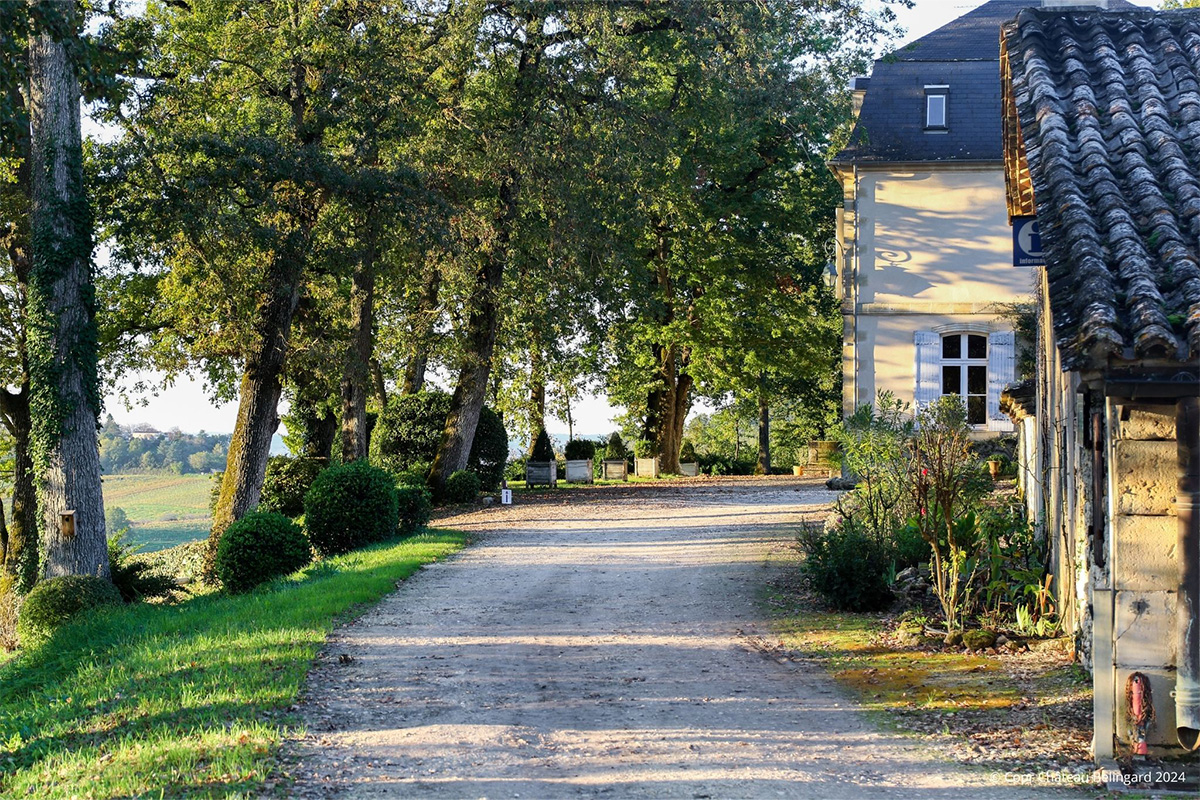 Château Bélingard SCEA