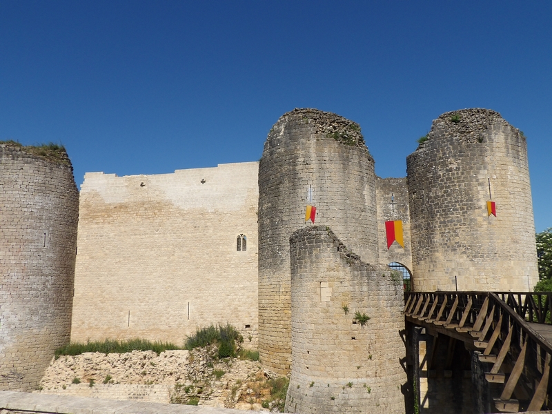 Château médiéval de Gençay