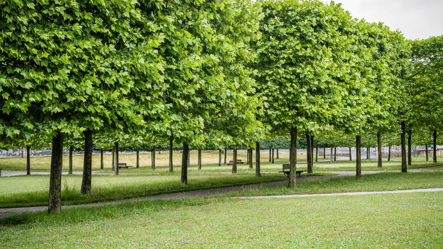 Basse-Plante du Musée national et domaine du Château de Pau