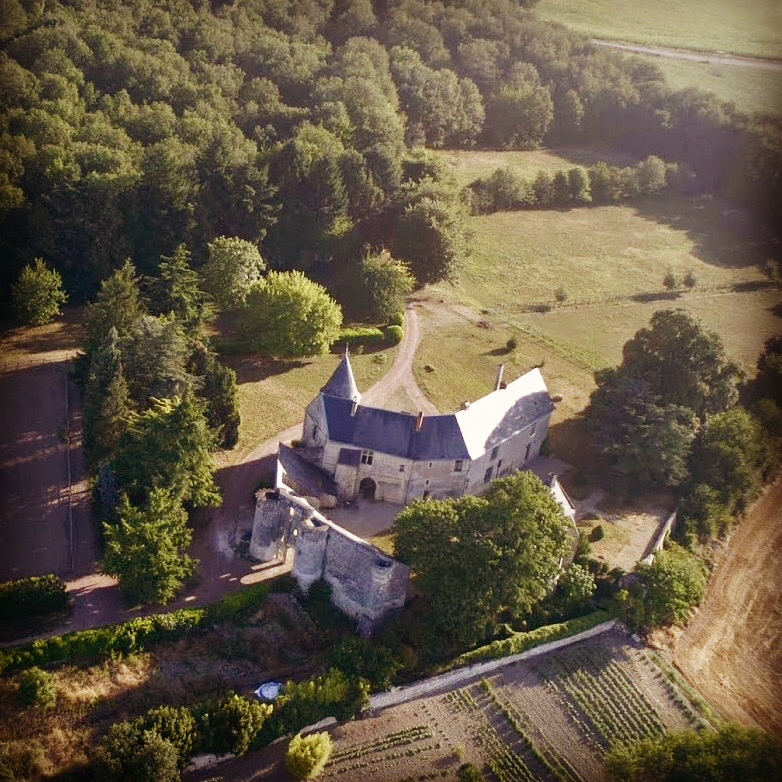Château de la Roche-Martel
