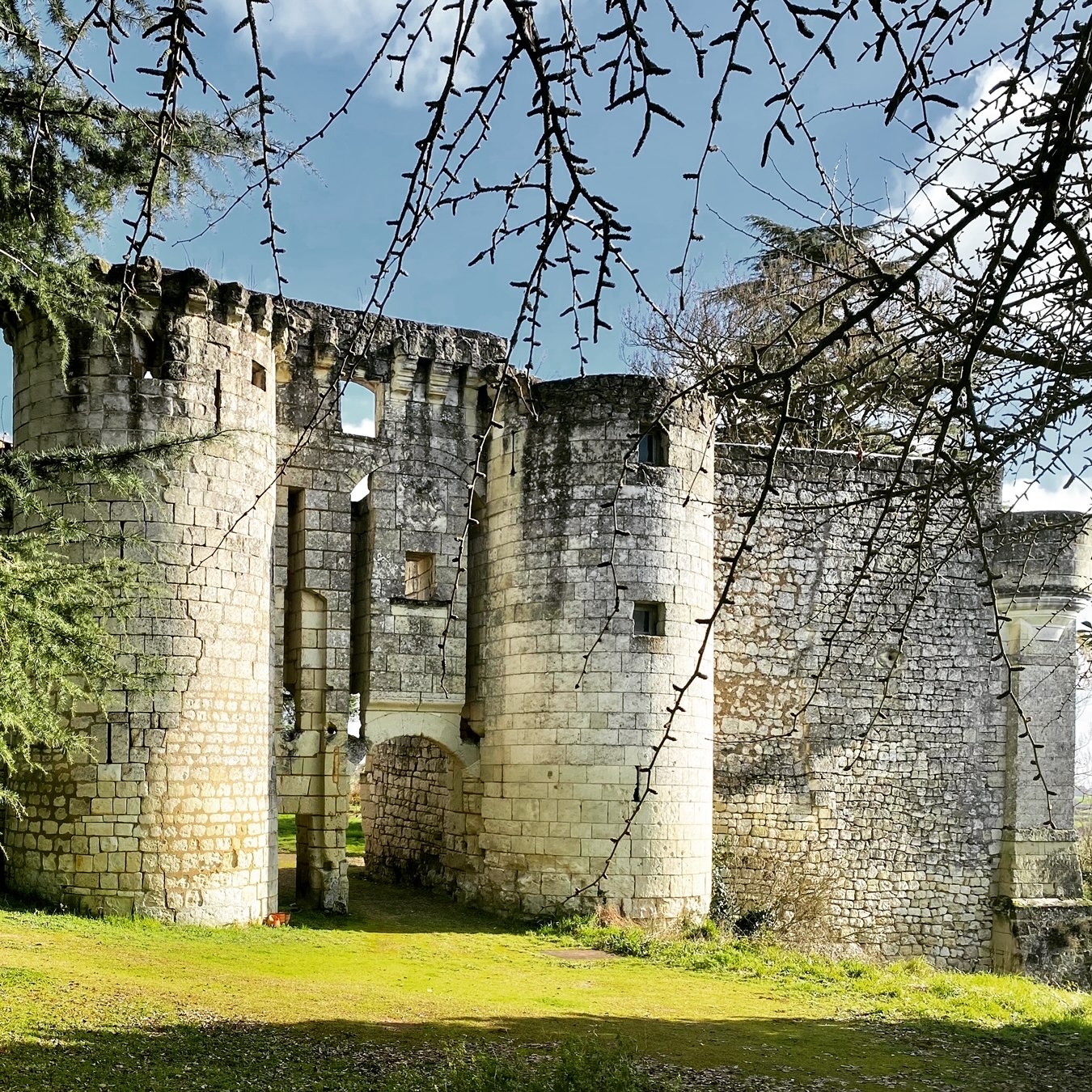 Château de la Roche-Martel, Roiffé - photo 3