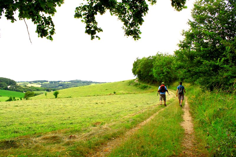 Autour du gras à la Bachellerie
