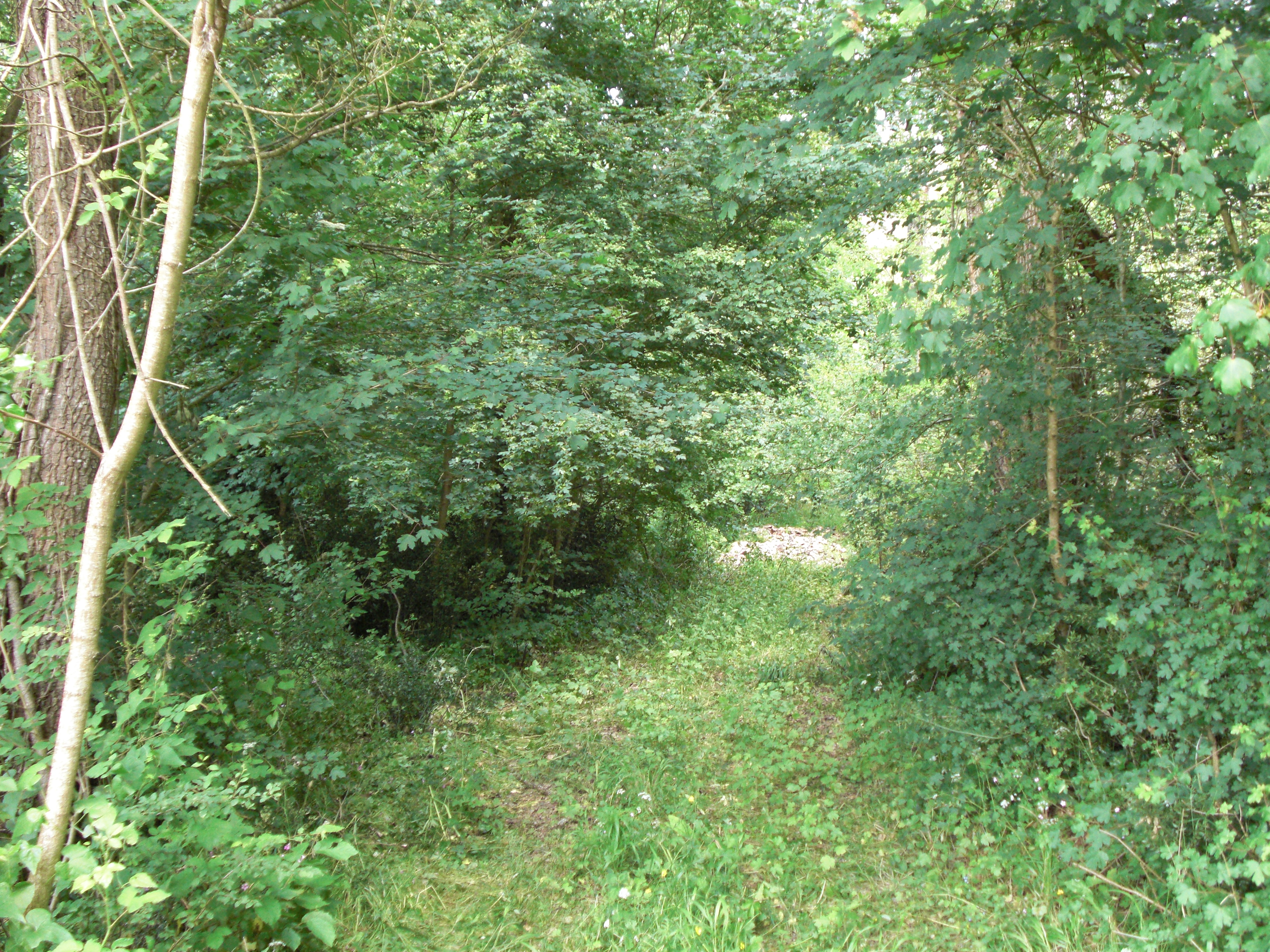 Chemin Gallien