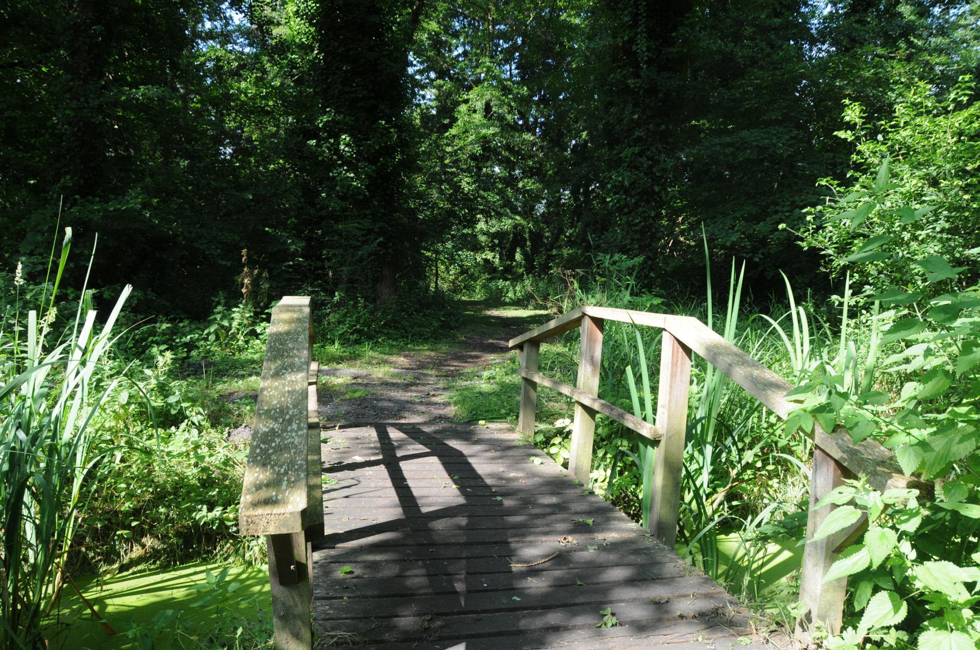 Parc de Mussonville