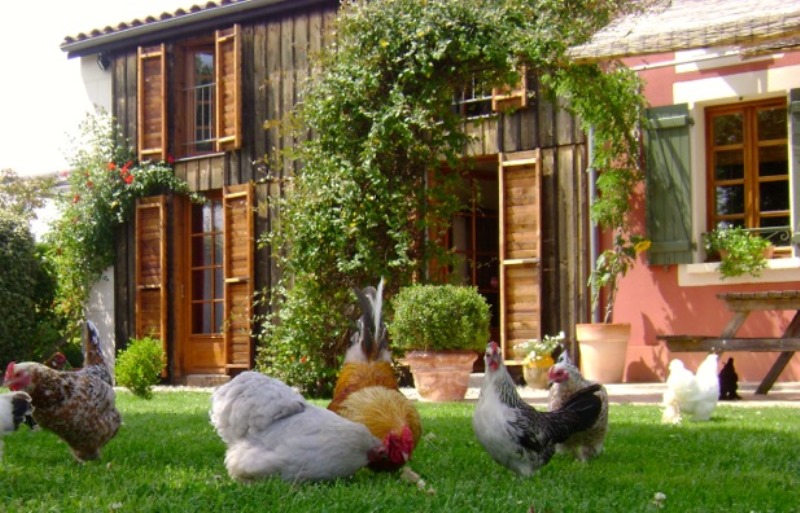 Domaine de Méroc - B&B Chez Véronique et Thomas