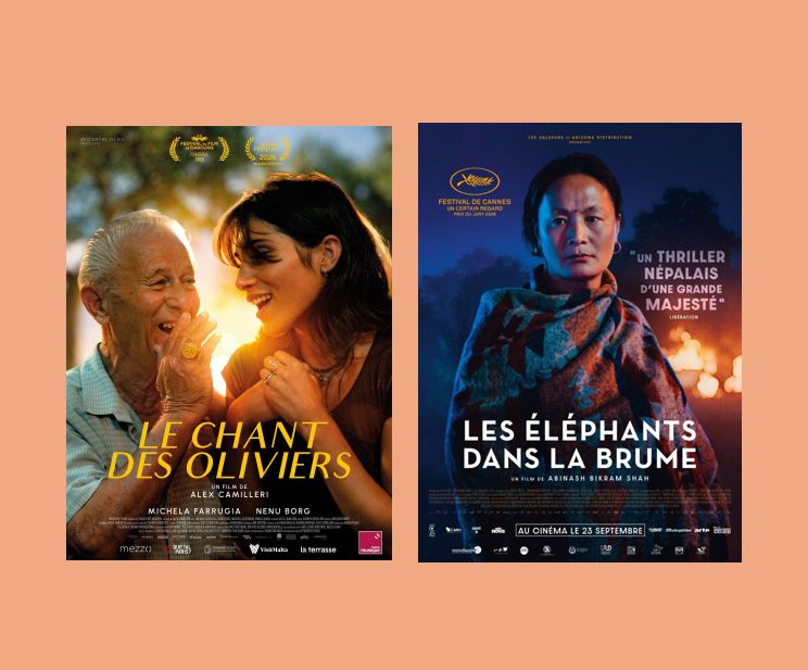 Soirée Cinéma d'Ailleurs
