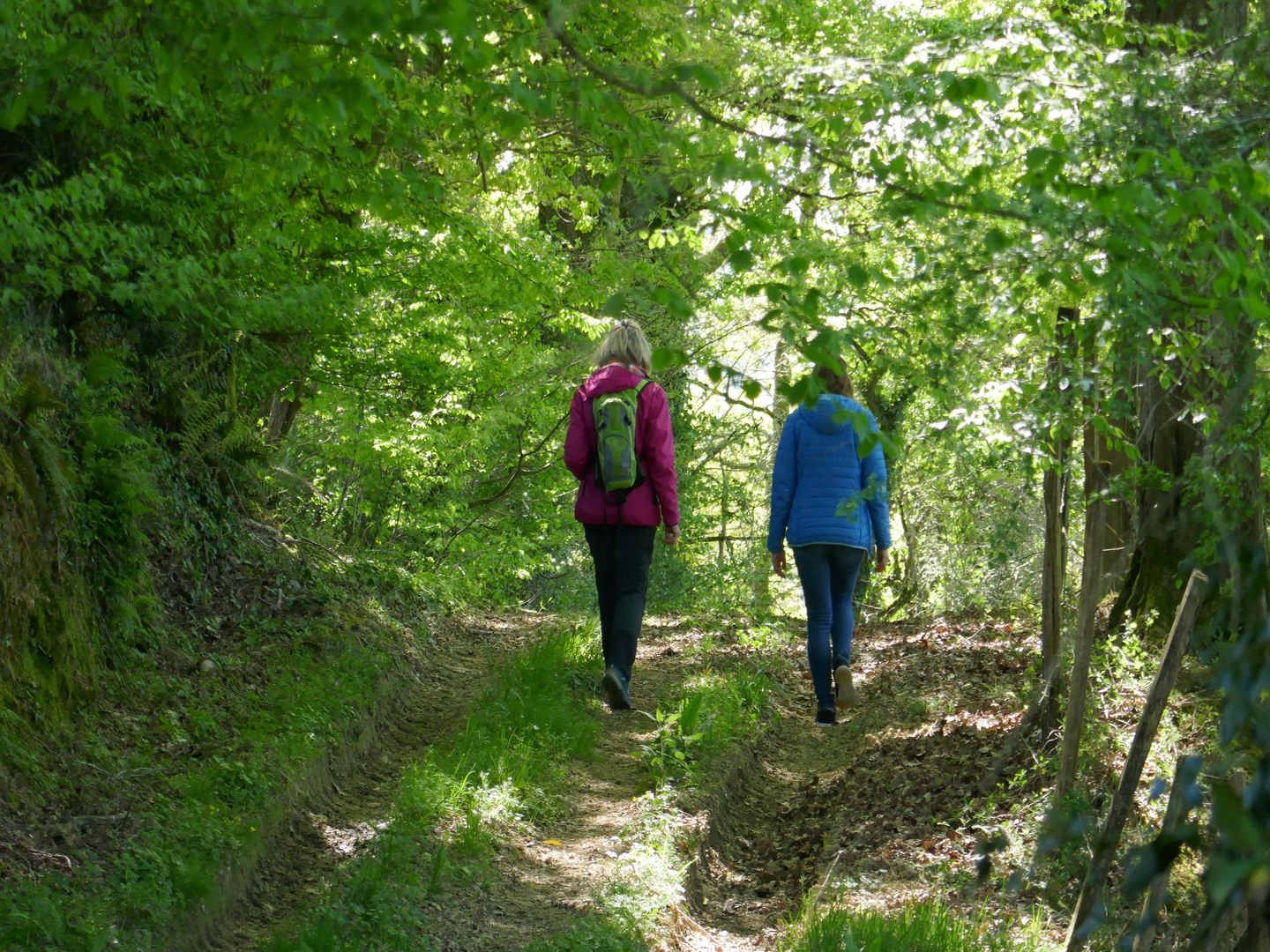 Claracq : promenade du Beüs au château