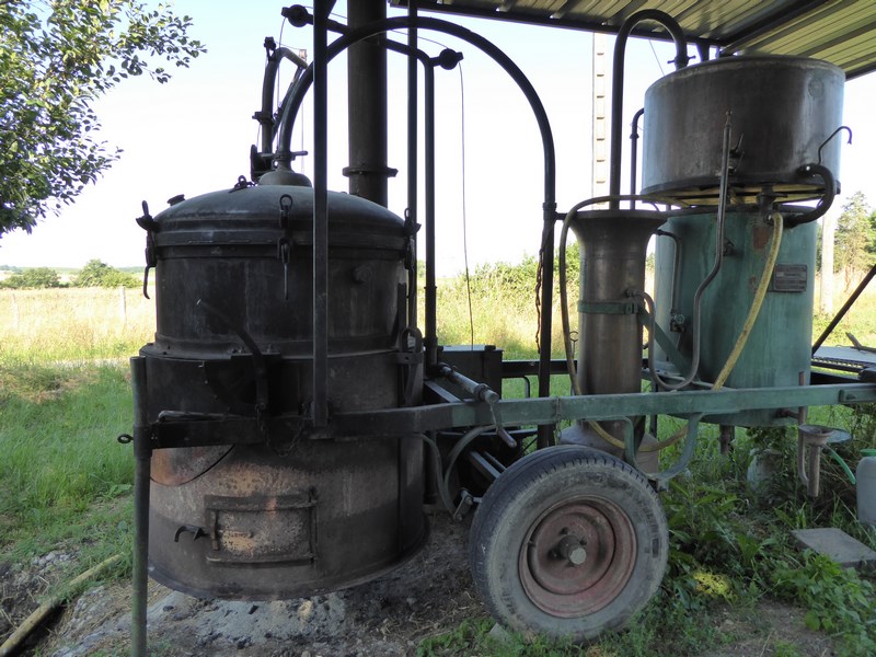 Poulambic