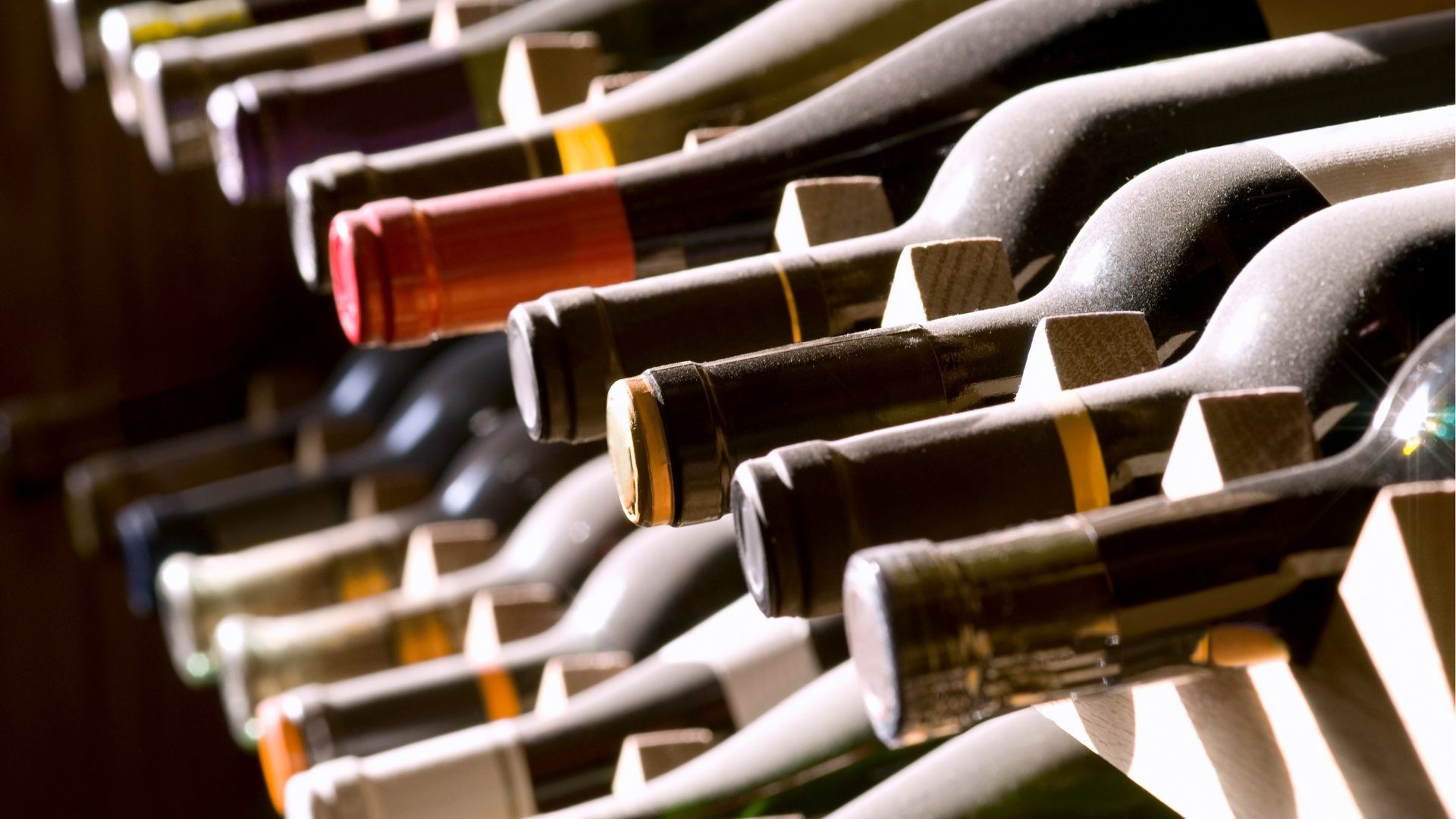 Conférence : Le vin, le mémoire de notre siècle