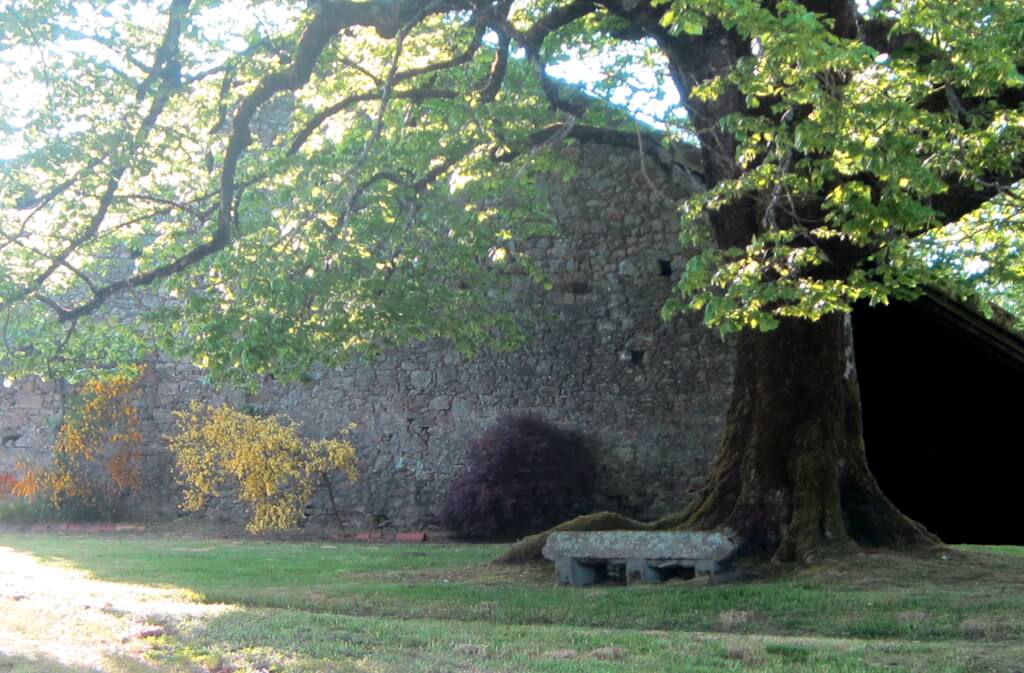 Le Logis des Tilleuls