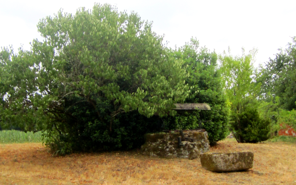 Le Logis des Tilleuls