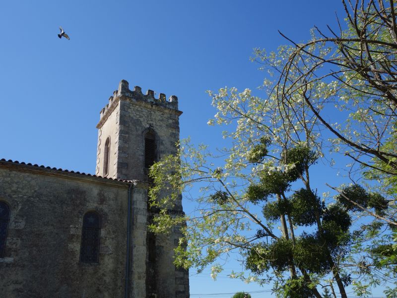 Eglise Notre-Dame de Cours-les-Bains