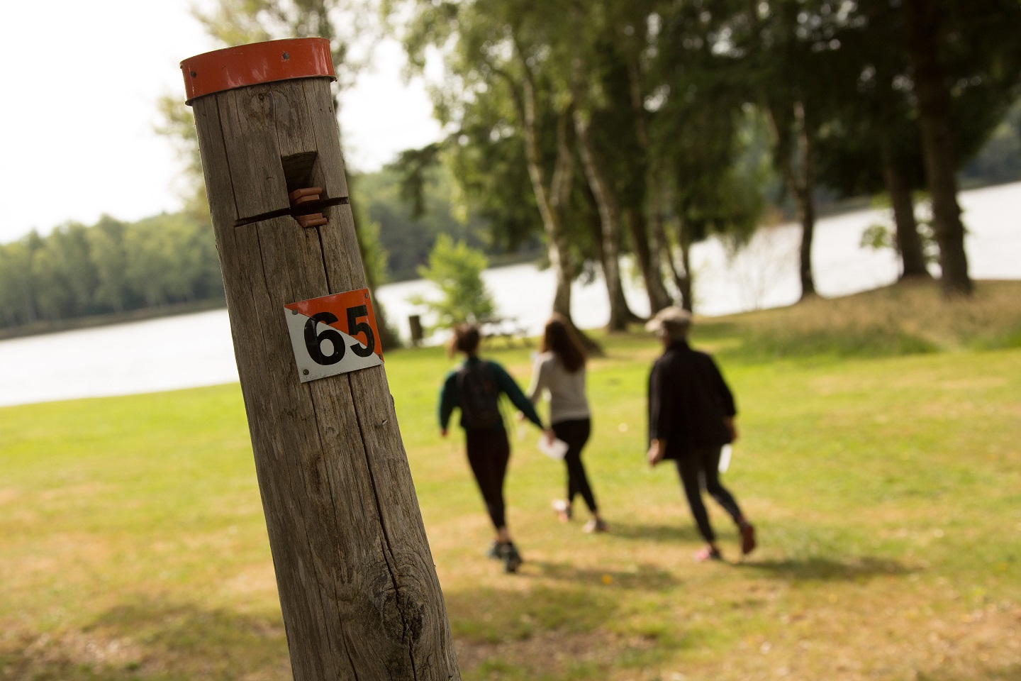 Parcours permanent d'orientation du Lac de Ponty