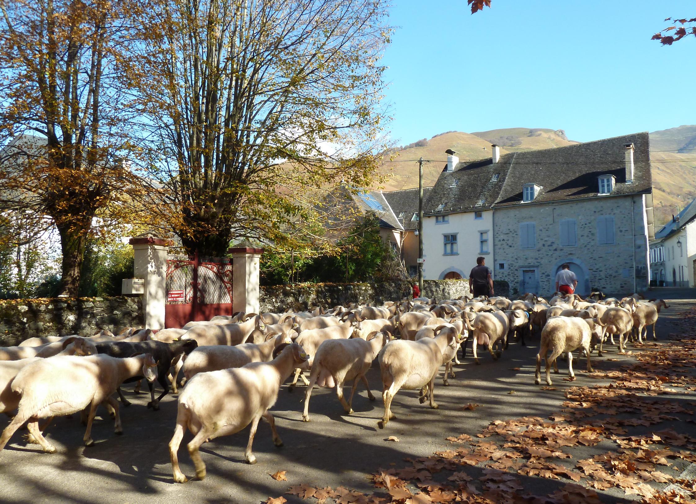 Balade à Roulettes n°47 : Au village d'Accous