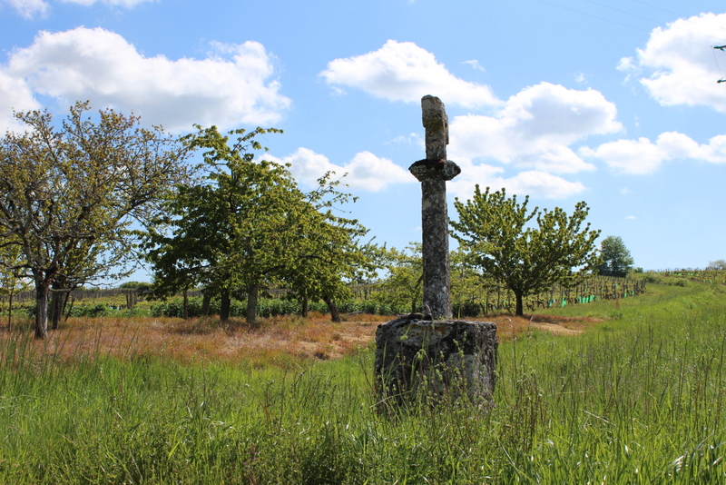 Boucle de Pinson à Saint-André-et-Appelles