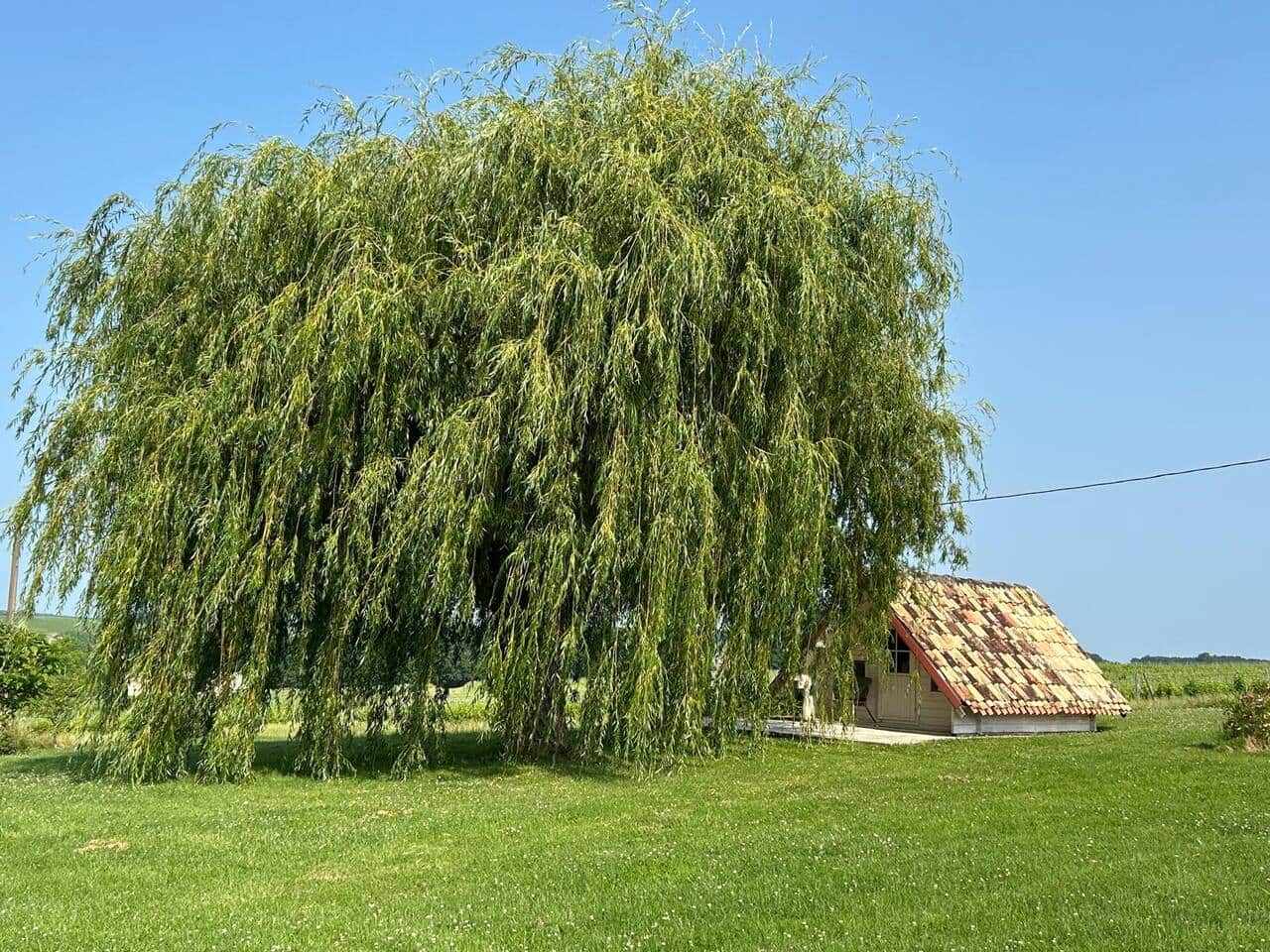 Gîte Cruon
