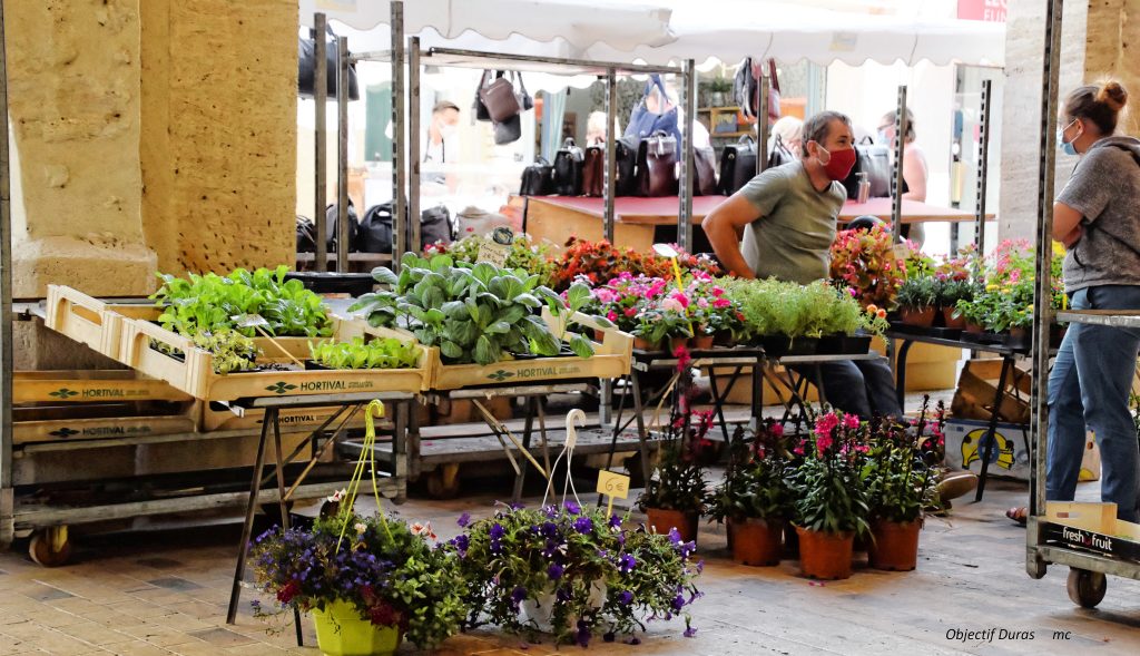 Marché traditionnel, Duras - photo 44