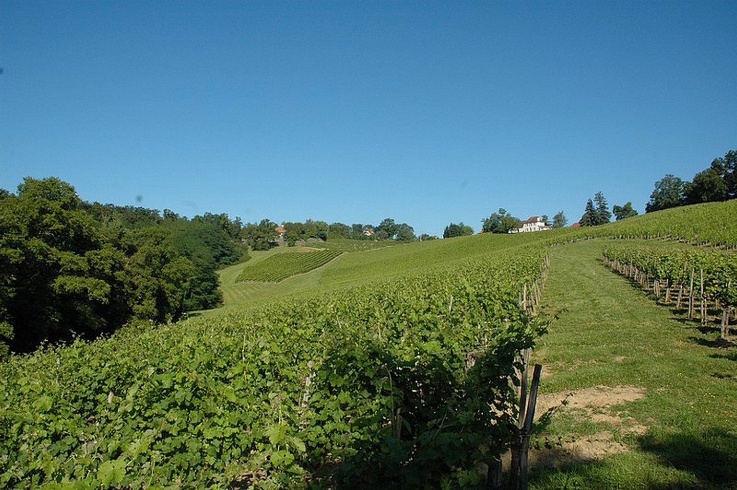 Domaine Lapeyre-Guilhemas