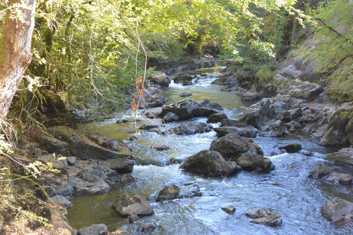 GORGES DE L'AUVEZERE