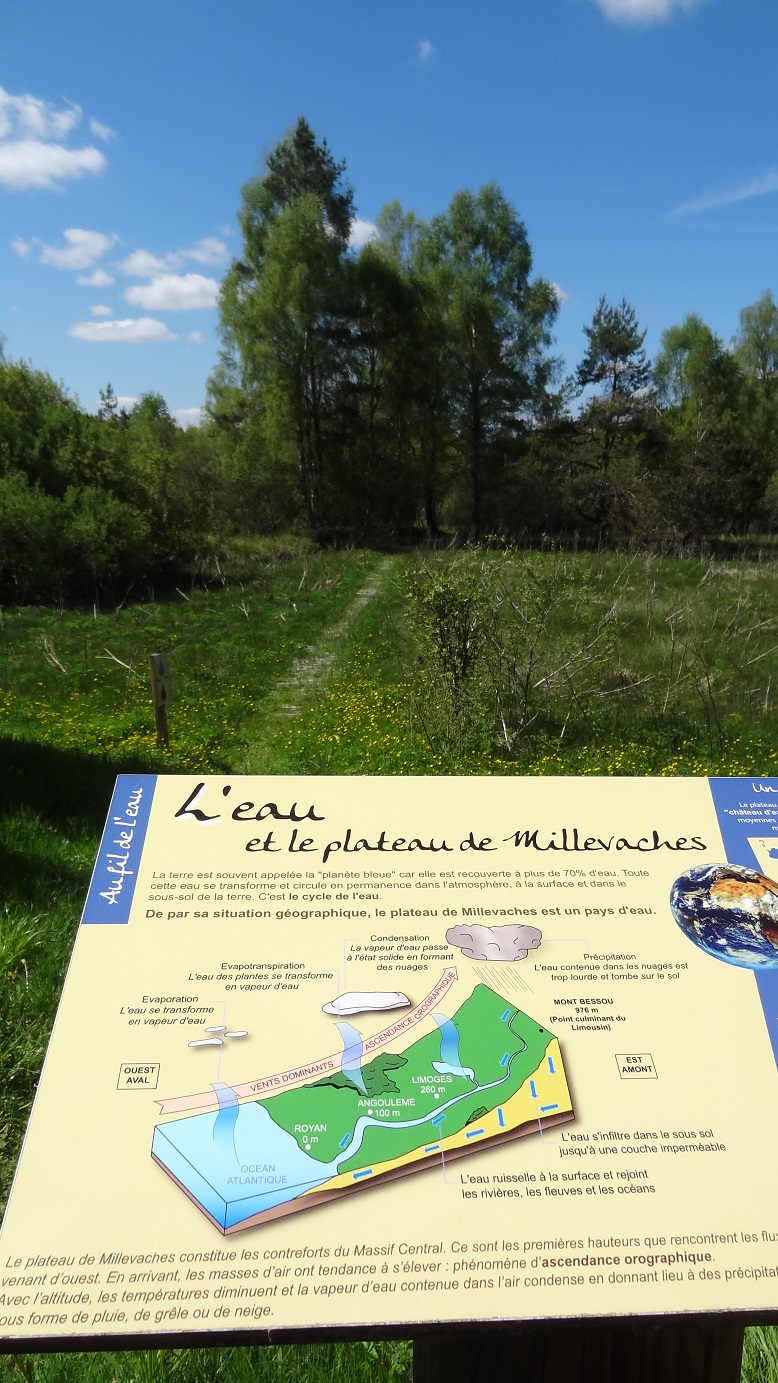 Au fil de l'eau - 12 km