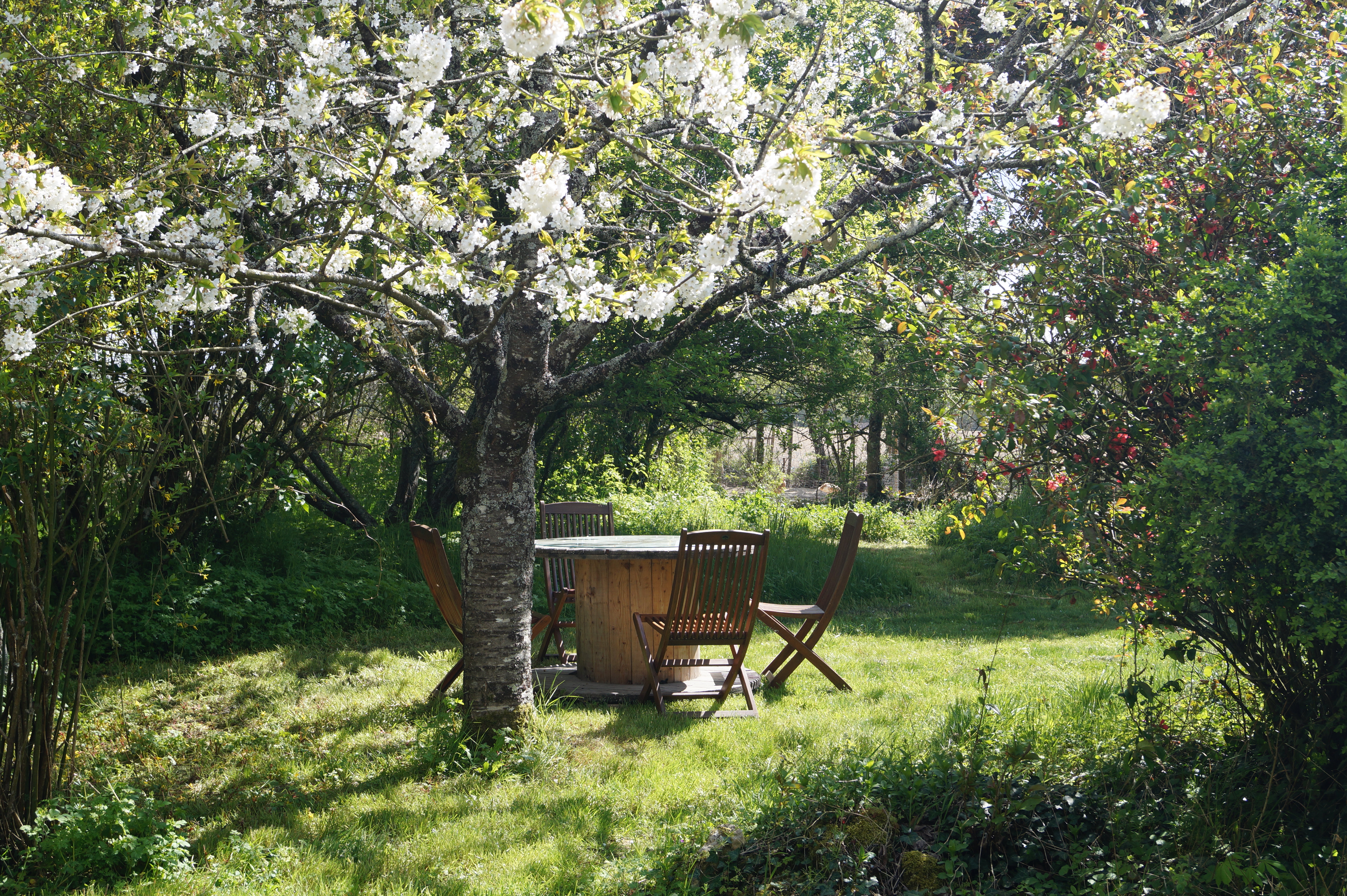 La Ferme des Hiboux - photo 9