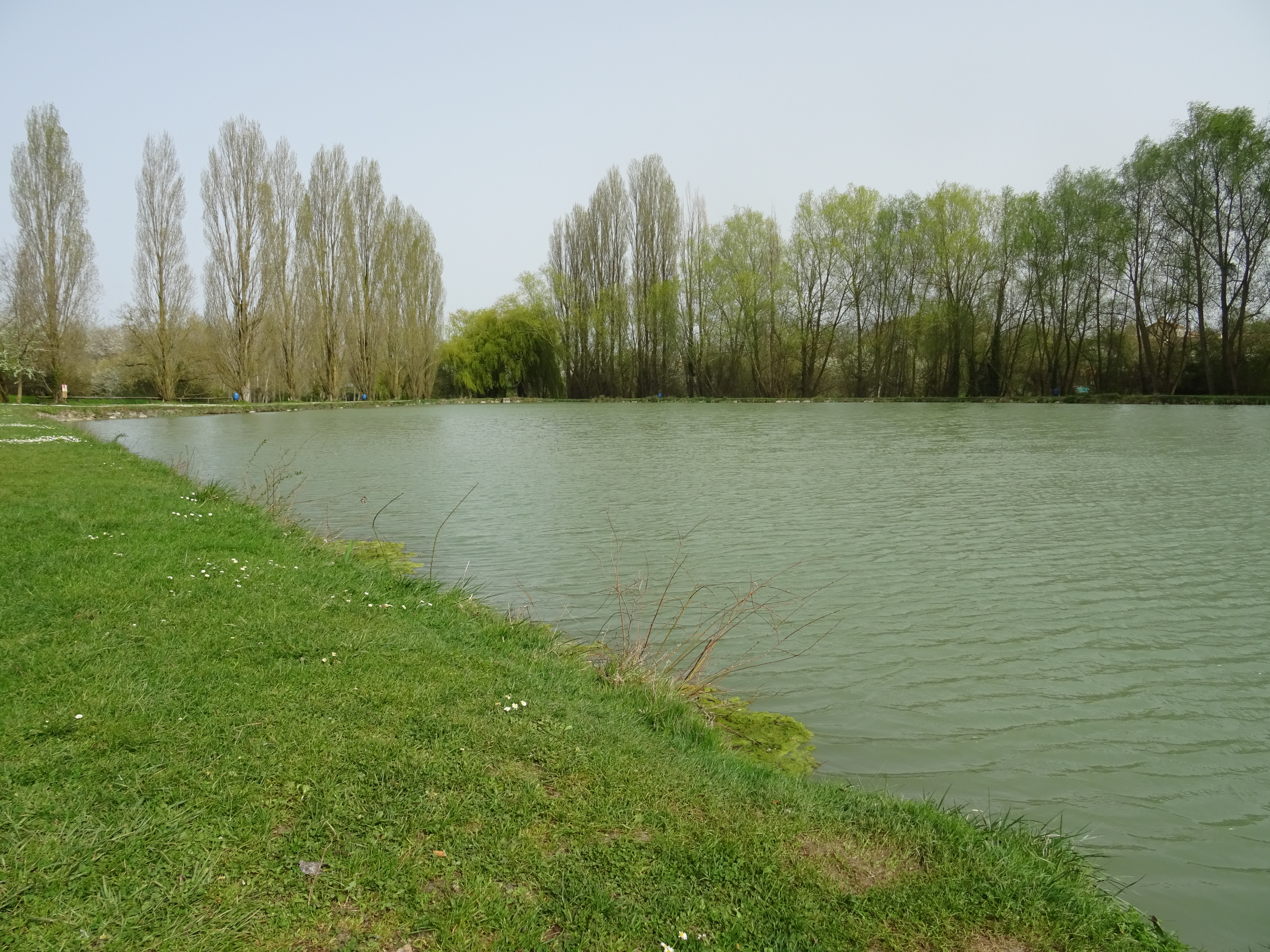 Etang de Mercure