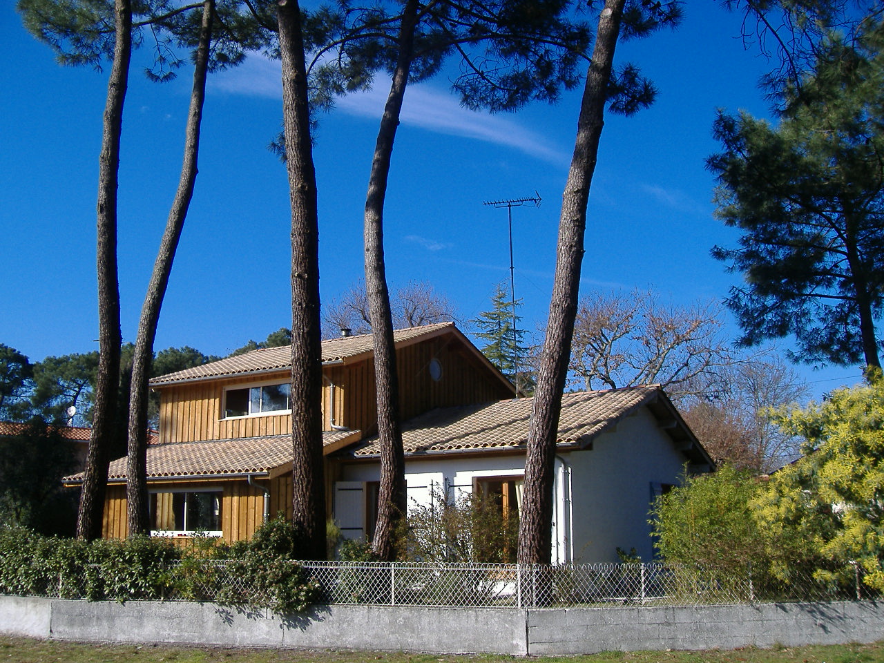 Les Pins