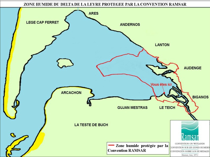 Les pépites du bassin à vol d'oiseau