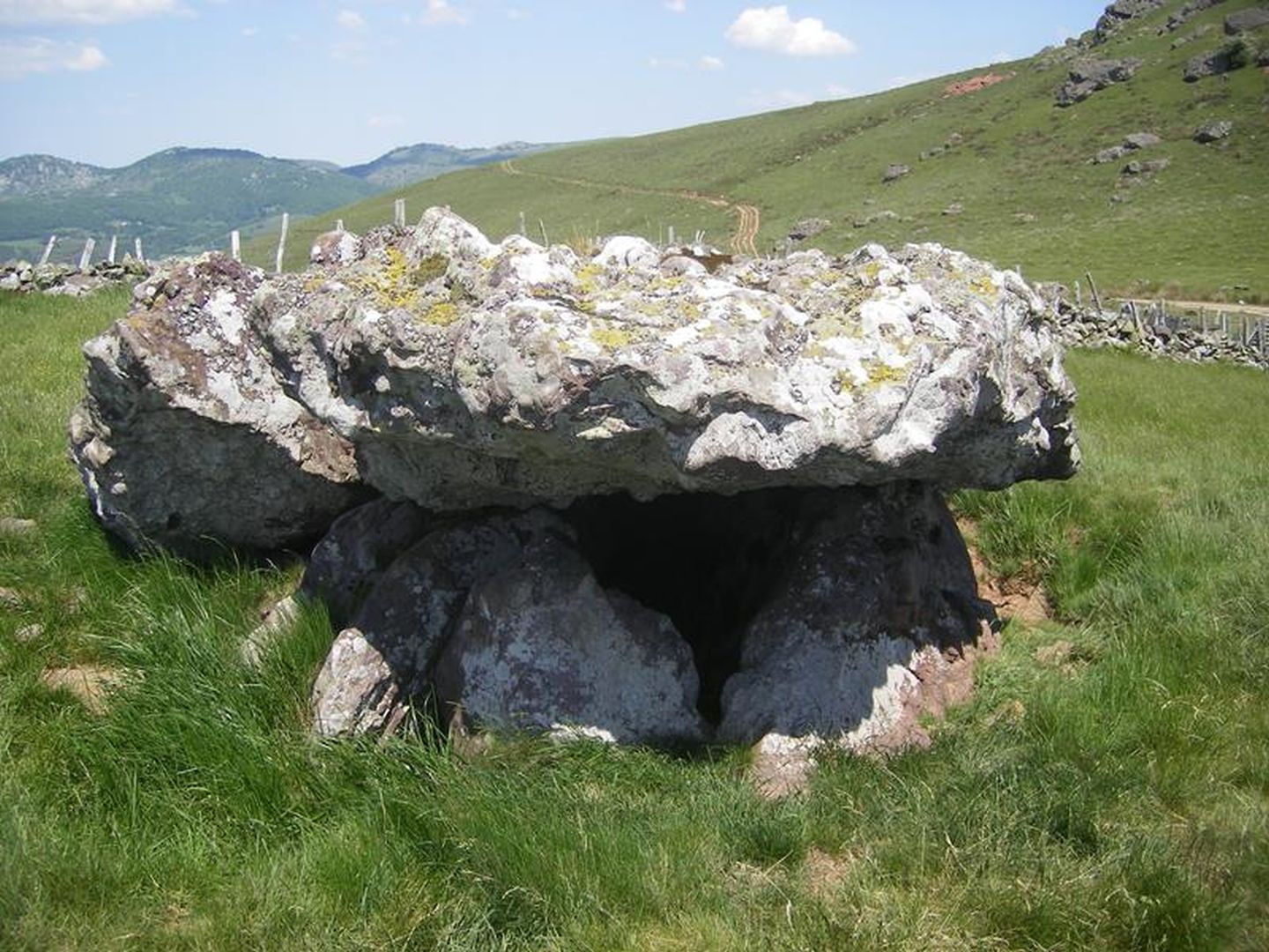 Buluntza