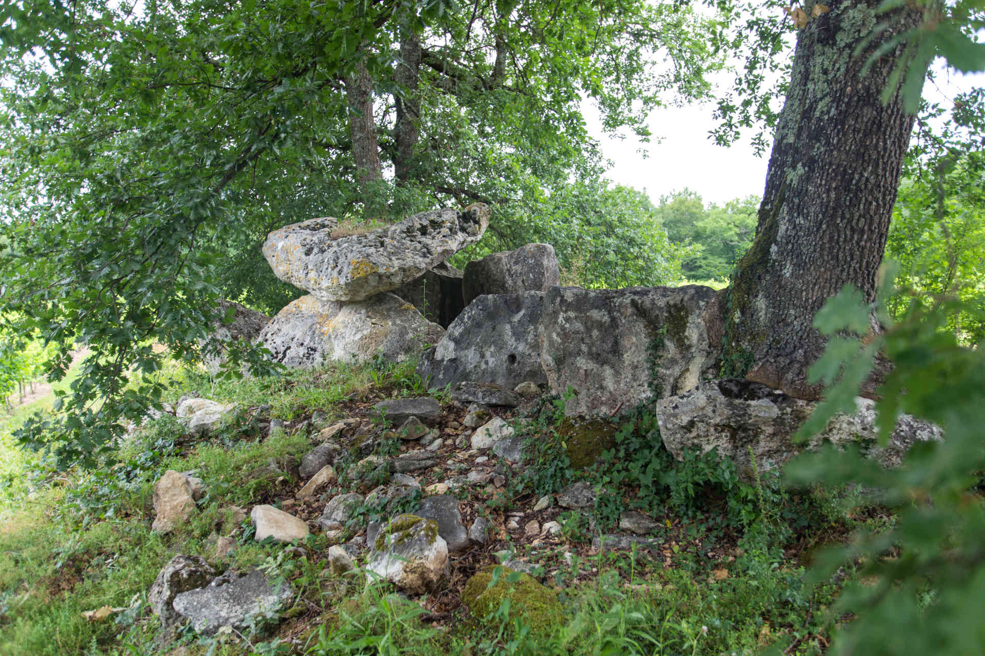 Dolmen de Curton