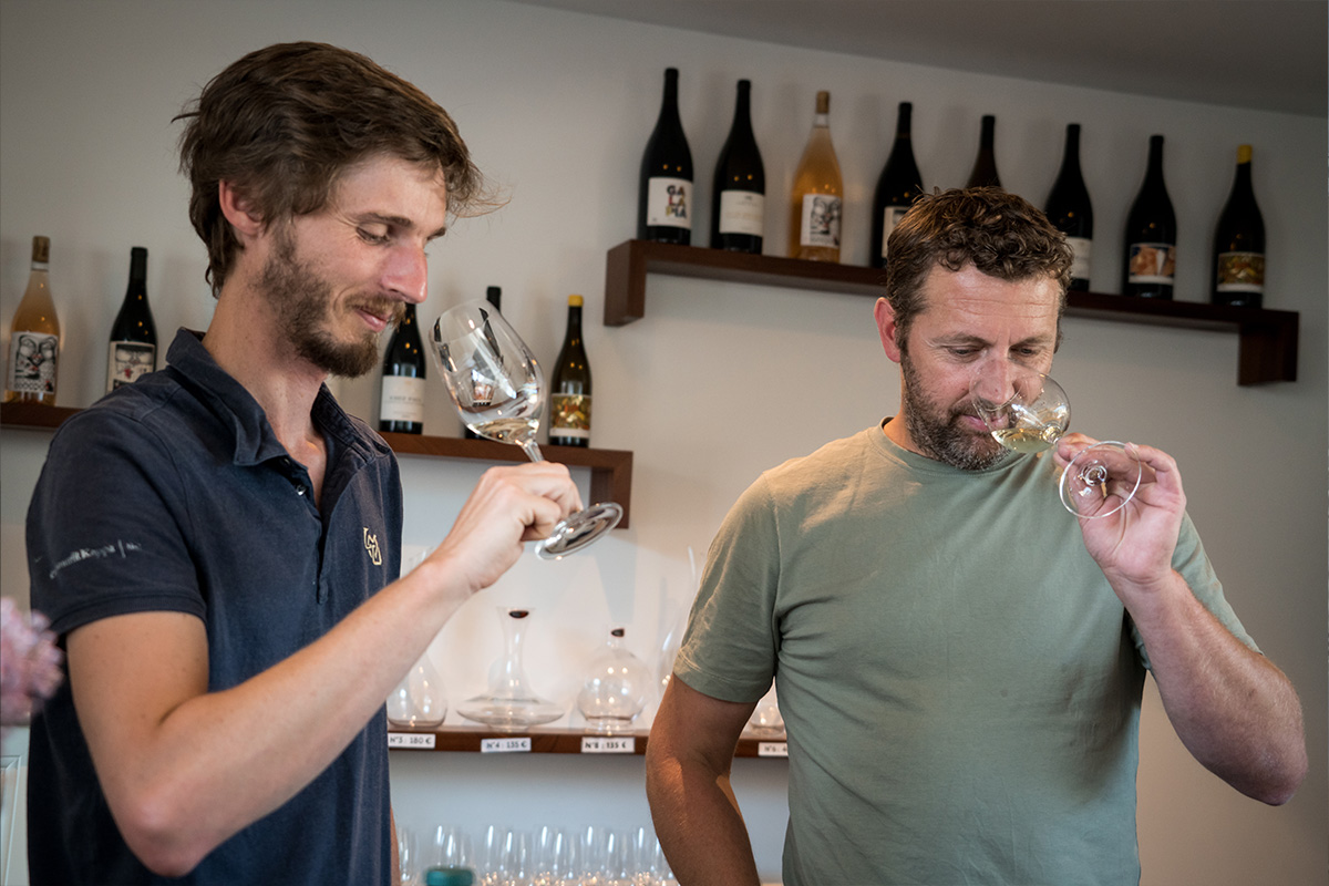 Domaine Albert de Conti