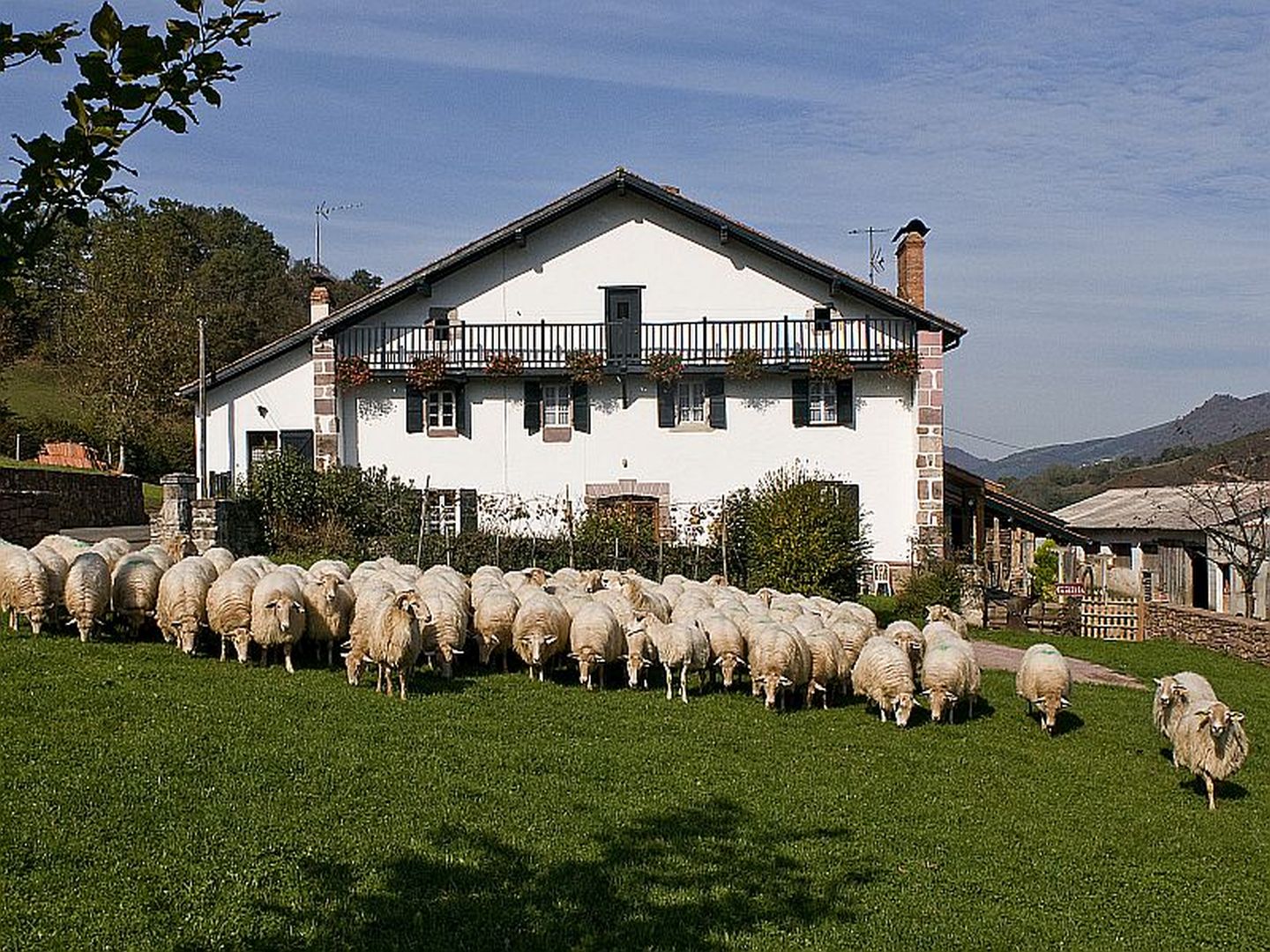 Domaine Ameztia