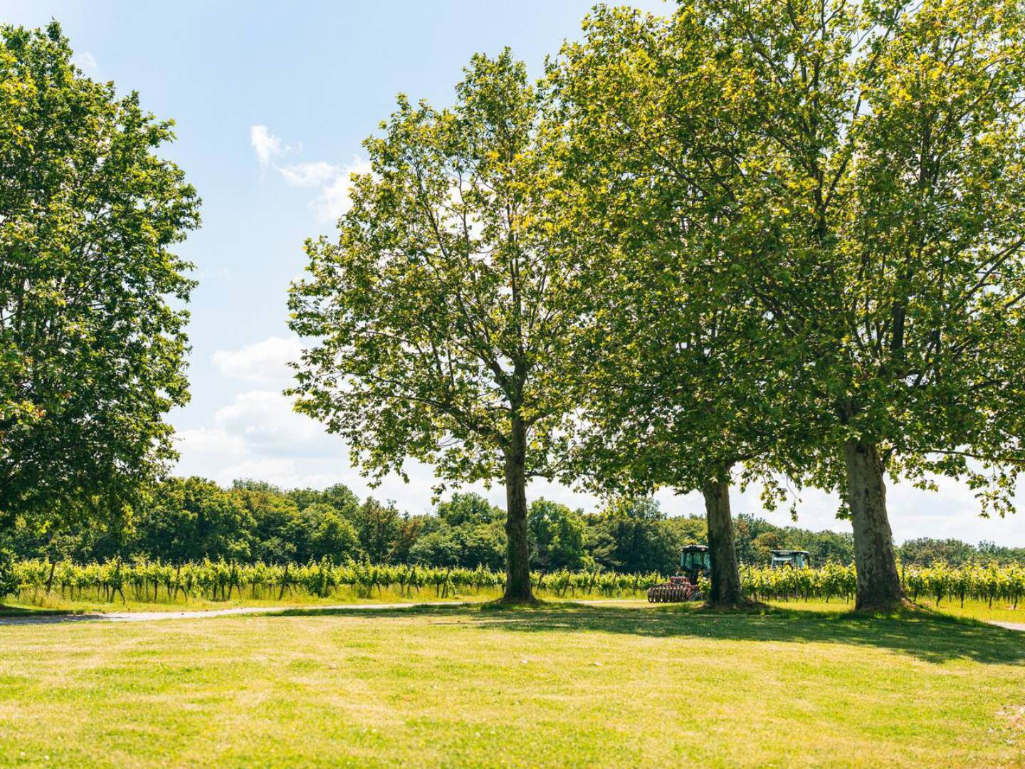 Domaine Canteloup - Gîte Loft