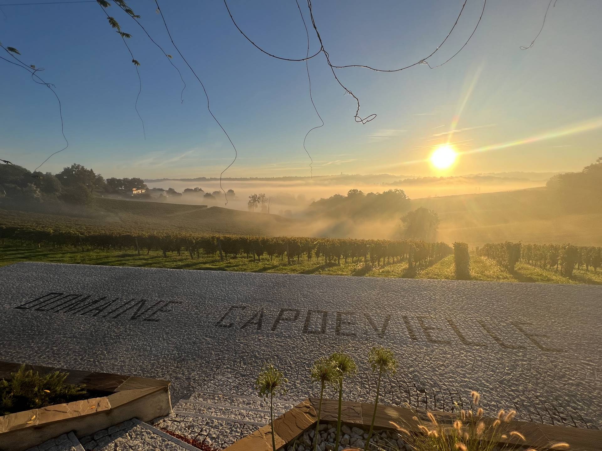 Domaine Capdevielle