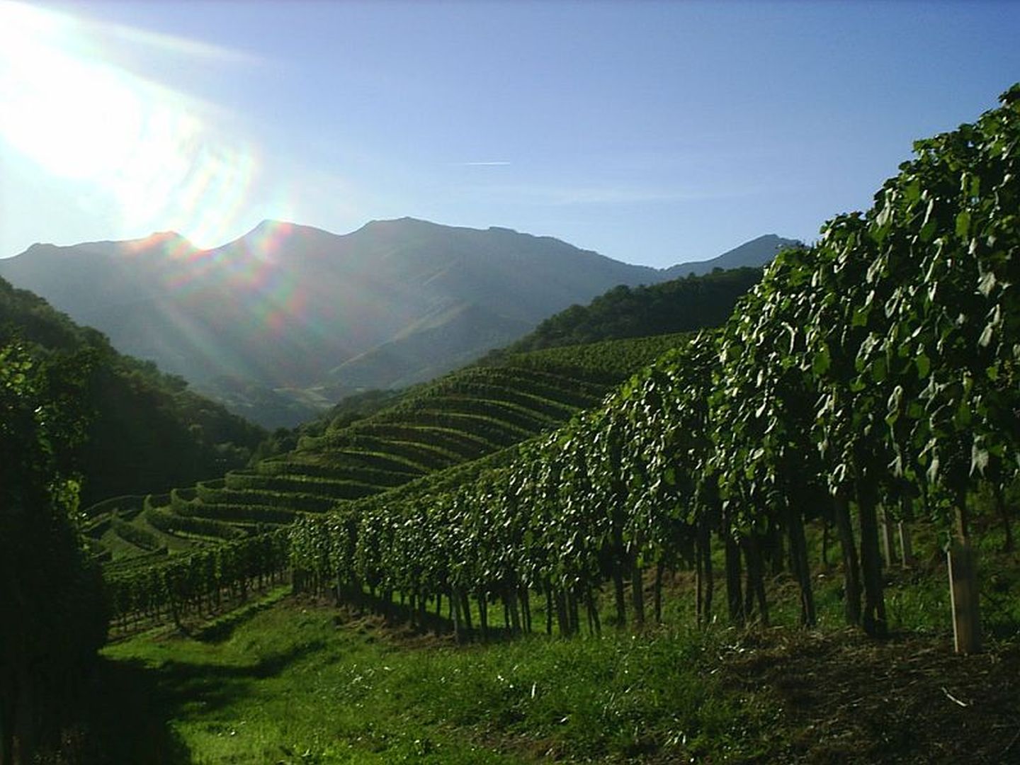 Domaine Etxegaraya