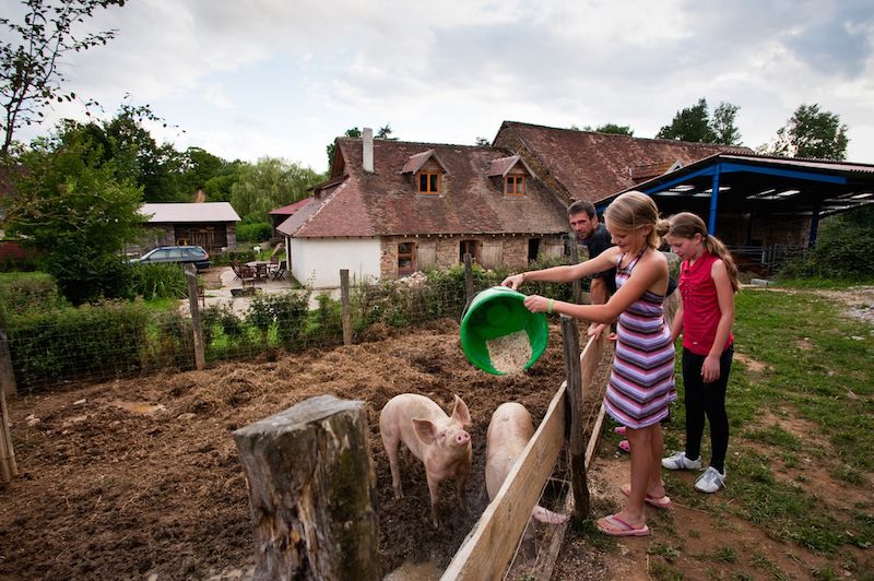 Camping à la ferme du Domaine de Royères