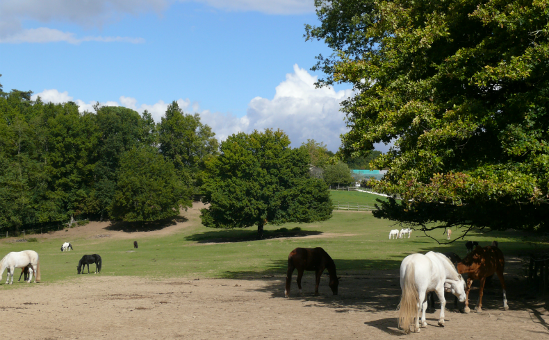 Domaine de la Burthe